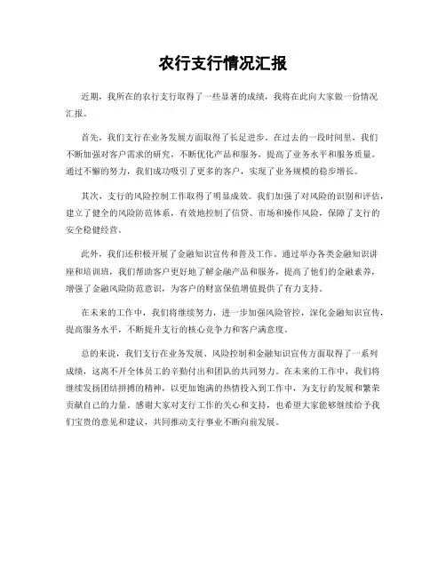 农行支行情况汇报