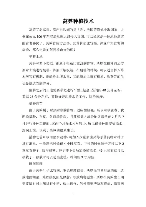 莴笋种植技术