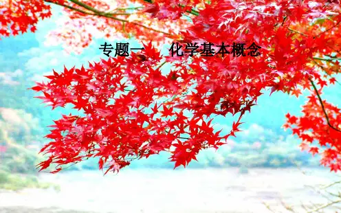 高考化学二轮复习专题一第4讲氧化还原反应课件
