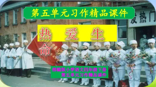 部编版小学四年级语文第五单元习作精品课件热爱生命