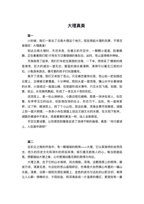 大理真美的作文