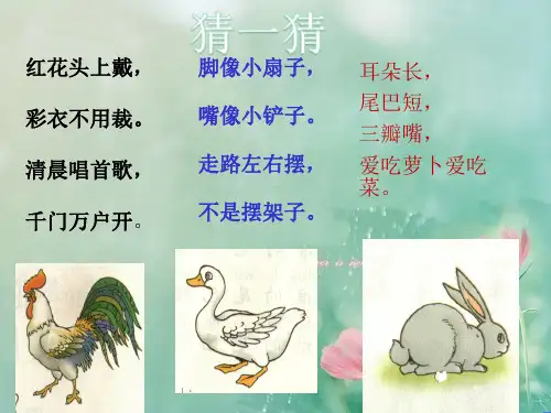 《比尾巴》课件(共19张PPT)