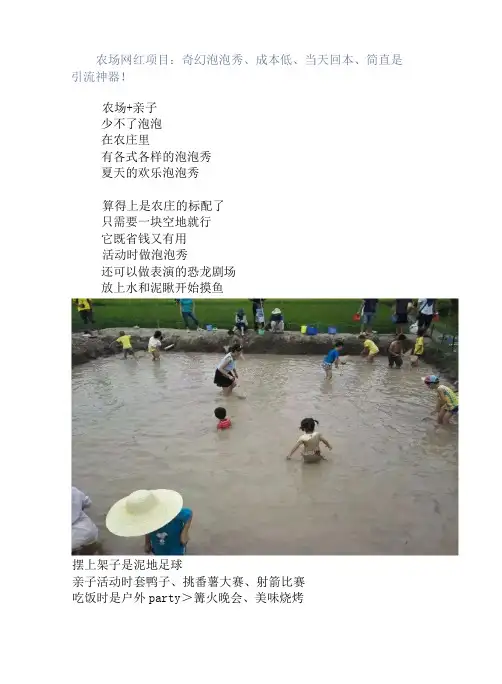农场网红项目：奇幻泡泡秀、成本低、当天回本、简直是引流神器!