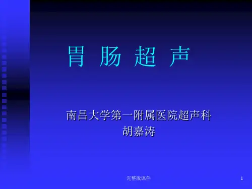 胃 肠 超 声ppt课件
