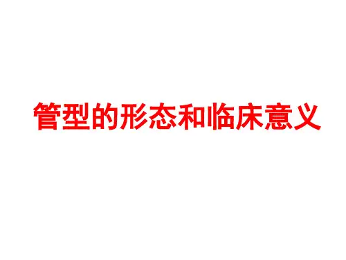 11管型形态和临床意义(上传)