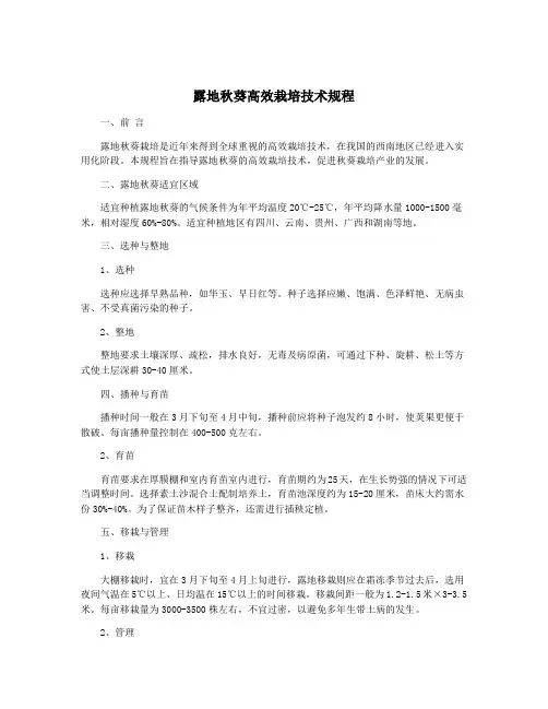 露地秋葵高效栽培技术规程