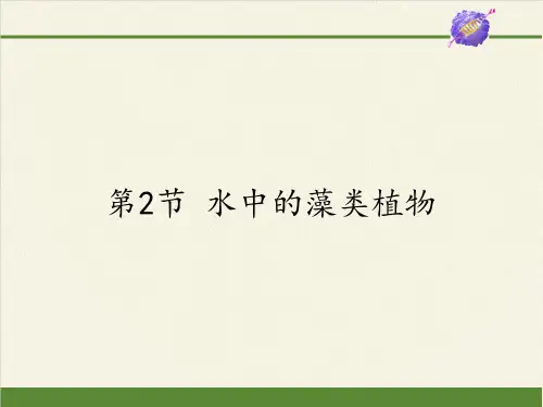 苏科版初中生物七年级下册课件-5.10.2 水中的藻类植物10