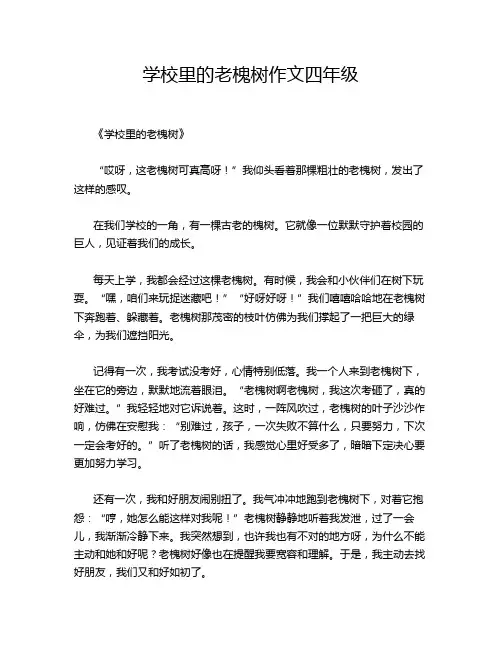 学校里的老槐树作文四年级