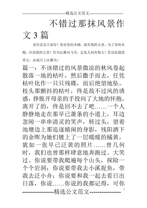 不错过那抹风景作文3篇