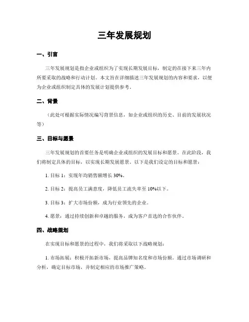 三年发展规划