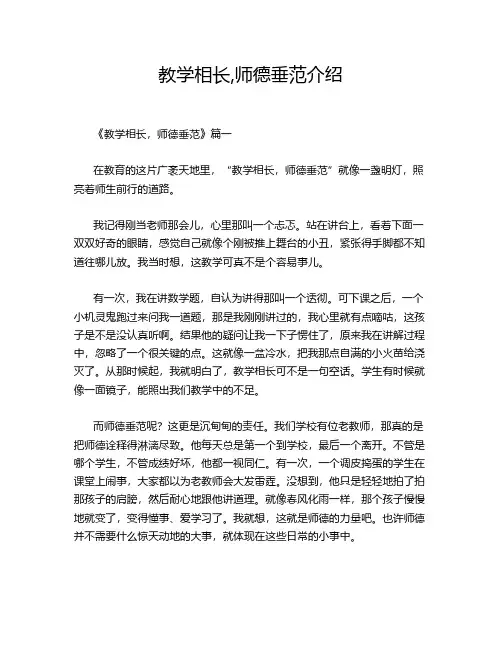 教学相长,师德垂范介绍