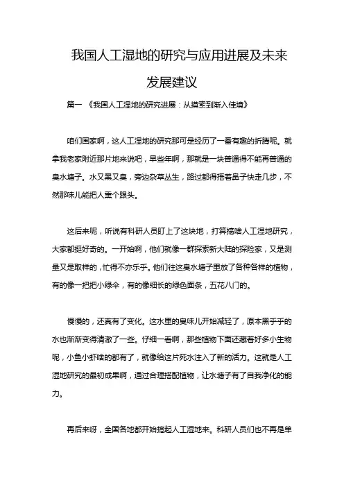 我国人工湿地的研究与应用进展及未来发展建议
