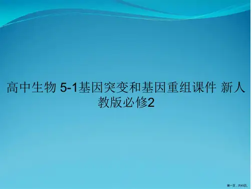 高中生物 5-1基因突变和基因重组课件 新人教版必修2