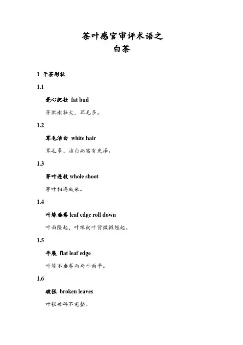 茶叶审评技术：茶叶感官审评术语之白茶
