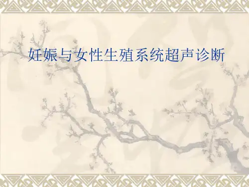 --妇产科超声PPT课件