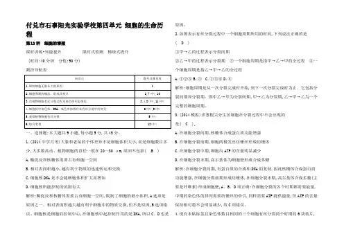 高三生物一轮复习(课时训练知能提升)第四单元 第12讲 细胞的增殖