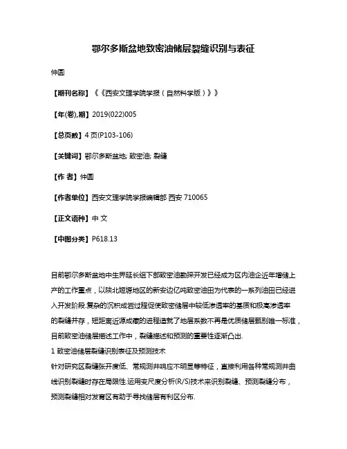 鄂尔多斯盆地致密油储层裂缝识别与表征