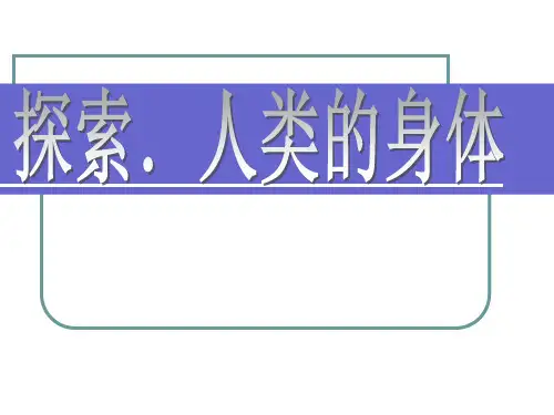 探索人类的身体ppt课件