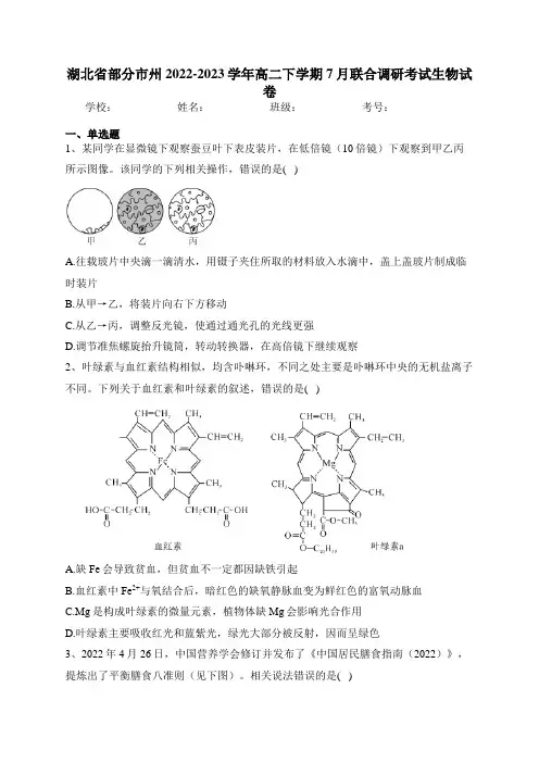 湖北省部分市州2022-2023学年高二下学期7月联合调研考试生物试卷(含答案)