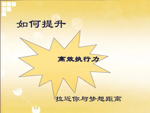 如何提升高效执行力(PPT 69页)