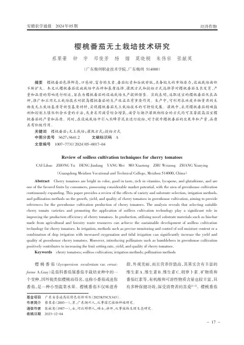 樱桃番茄无土栽培技术研究