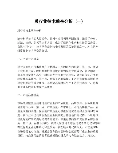 膜行业技术壁垒分析 (一)