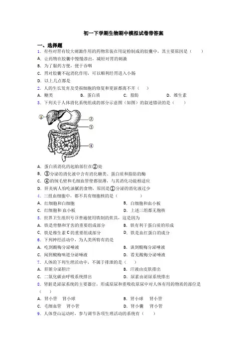 初一下学期生物期中模拟试卷带答案