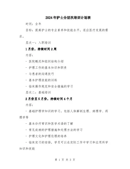2024年护士分层次培训计划表