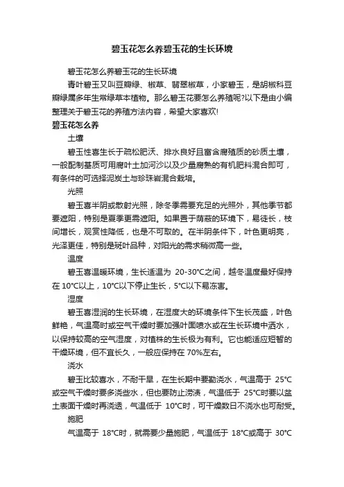碧玉花怎么养碧玉花的生长环境
