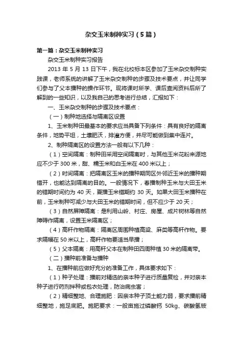 杂交玉米制种实习（5篇）