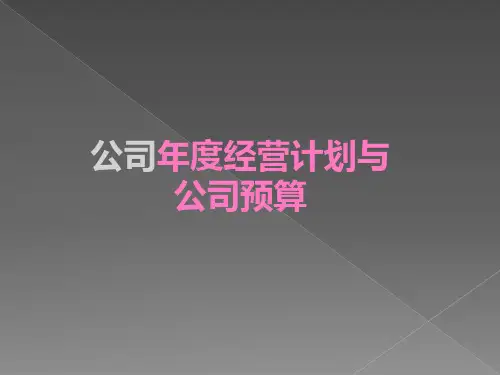 最新公司年度经营计划和公司预算(完整版)