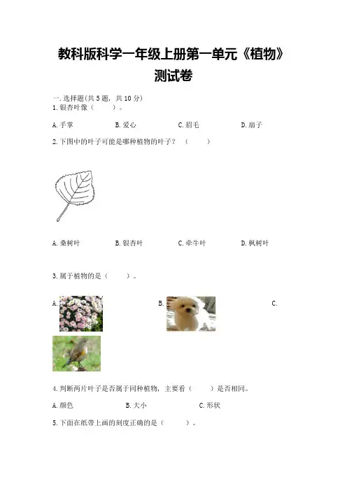 教科版科学一年级上册第一单元《植物》测试卷及参考答案(能力提升)