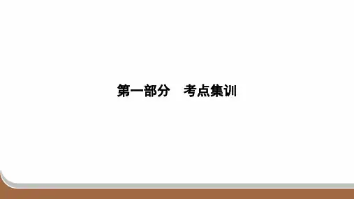 2024年中考道德与法治总复习第一部分考点集训九年级上册第二单元民主与法治