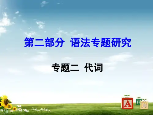 中考英语第二部分语法专题研究专题2代词课件PPT课件