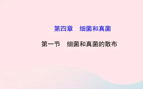 人教版八年级生物上册第五单元第四章第一节  细菌和真菌的分布 课件