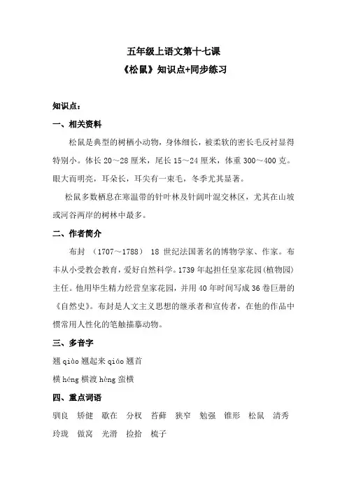 五年级上语文第十七课《松鼠》知识点+同步练习 含答案 人教统编版