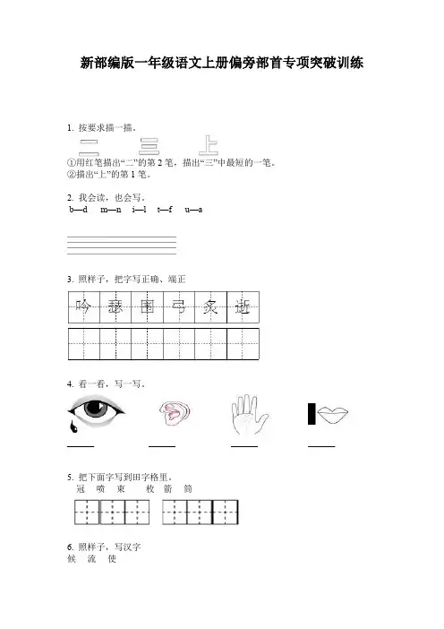 新部编版一年级语文上册偏旁部首专项突破训练