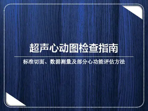 超声心动图检查指南解读测量及部分心功能评估方法课件