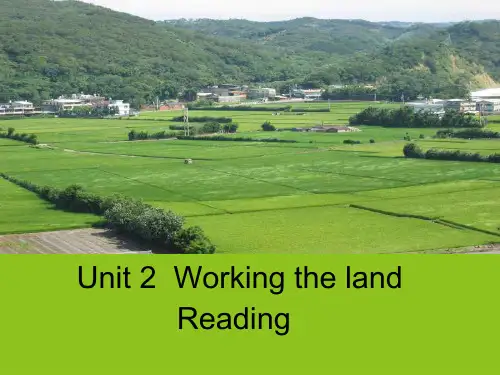 人教高中英语必修4Unit2 Reading (共21张PPT)