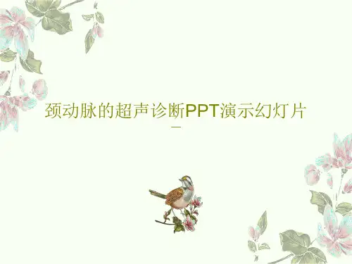 颈动脉的超声诊断PPT演示幻灯片共138页文档