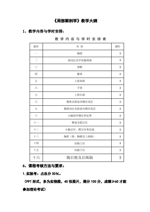 《局部解剖学》教学大纲