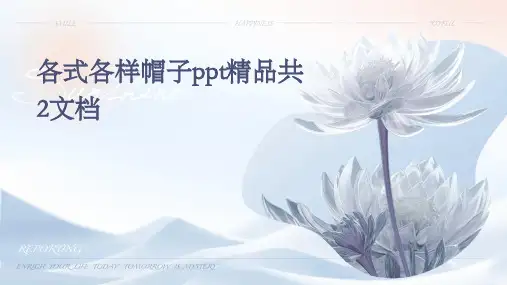 各式各样帽子ppt精品共2文档