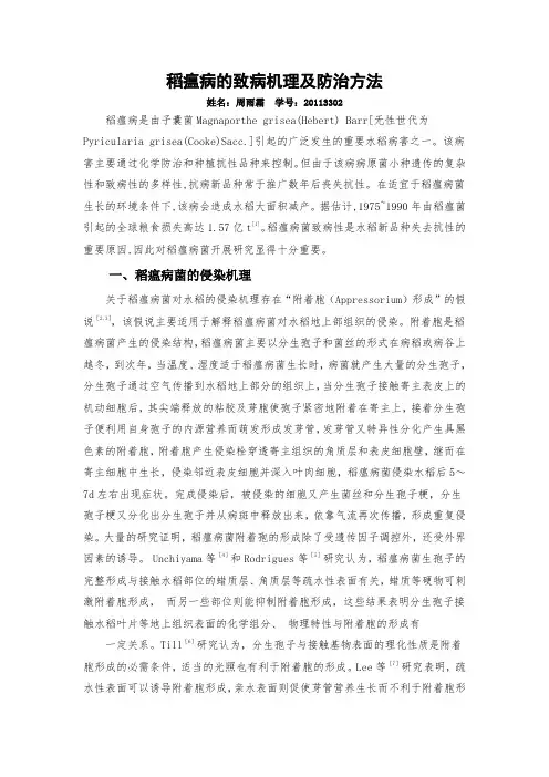稻瘟病的致病机理及防治方法