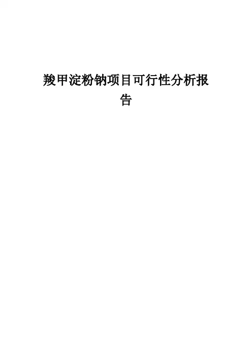 2024年羧甲淀粉钠项目可行性分析报告