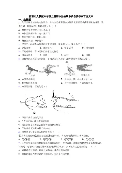 济南市人教版八年级上册期中生物期中试卷及答案百度文库