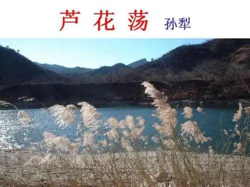 山东省淄博市高青县第三中学(五四学制)七年级下册语文课件(12份) 鲁教版6