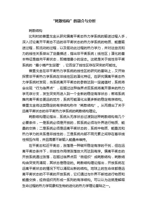 “耗散结构”的简介与分析