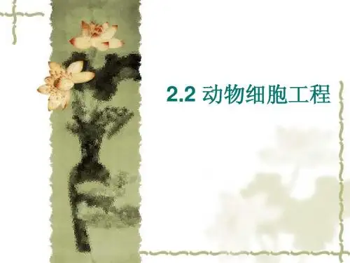 2.2.1动物细胞培养和核移植技术