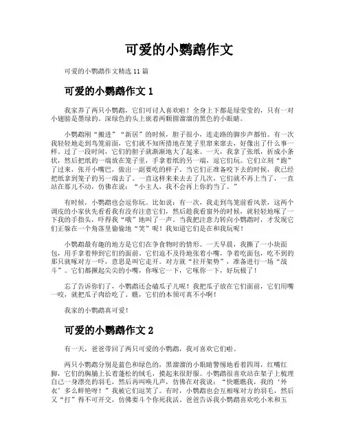 可爱的小鹦鹉作文