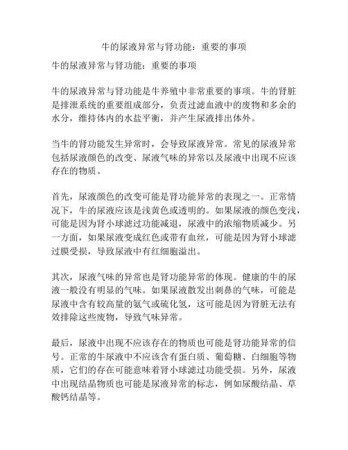 牛的尿液异常与肾功能：重要的事项